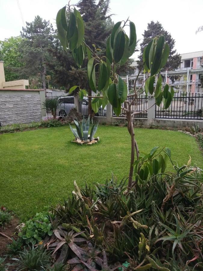 Guest House Alkor Obsor Exterior foto